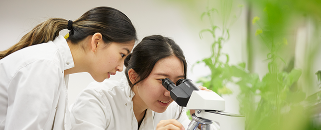 Two students looking into a microscope 